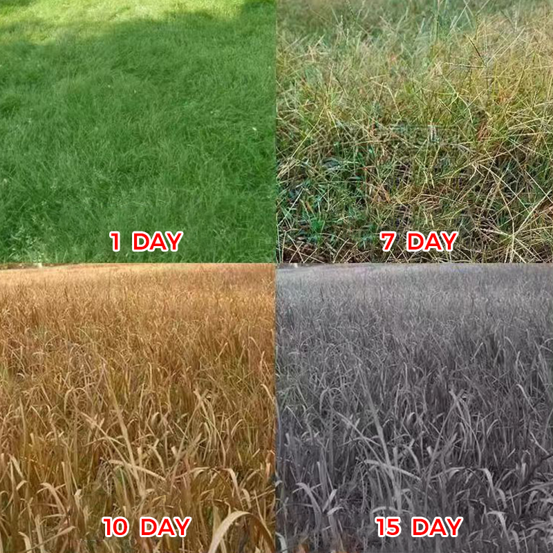 🔥Powerful Concentrated Herbicide🔥