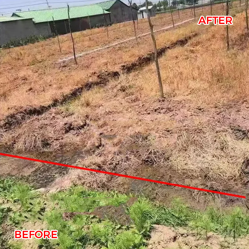 🔥Powerful Concentrated Herbicide🔥