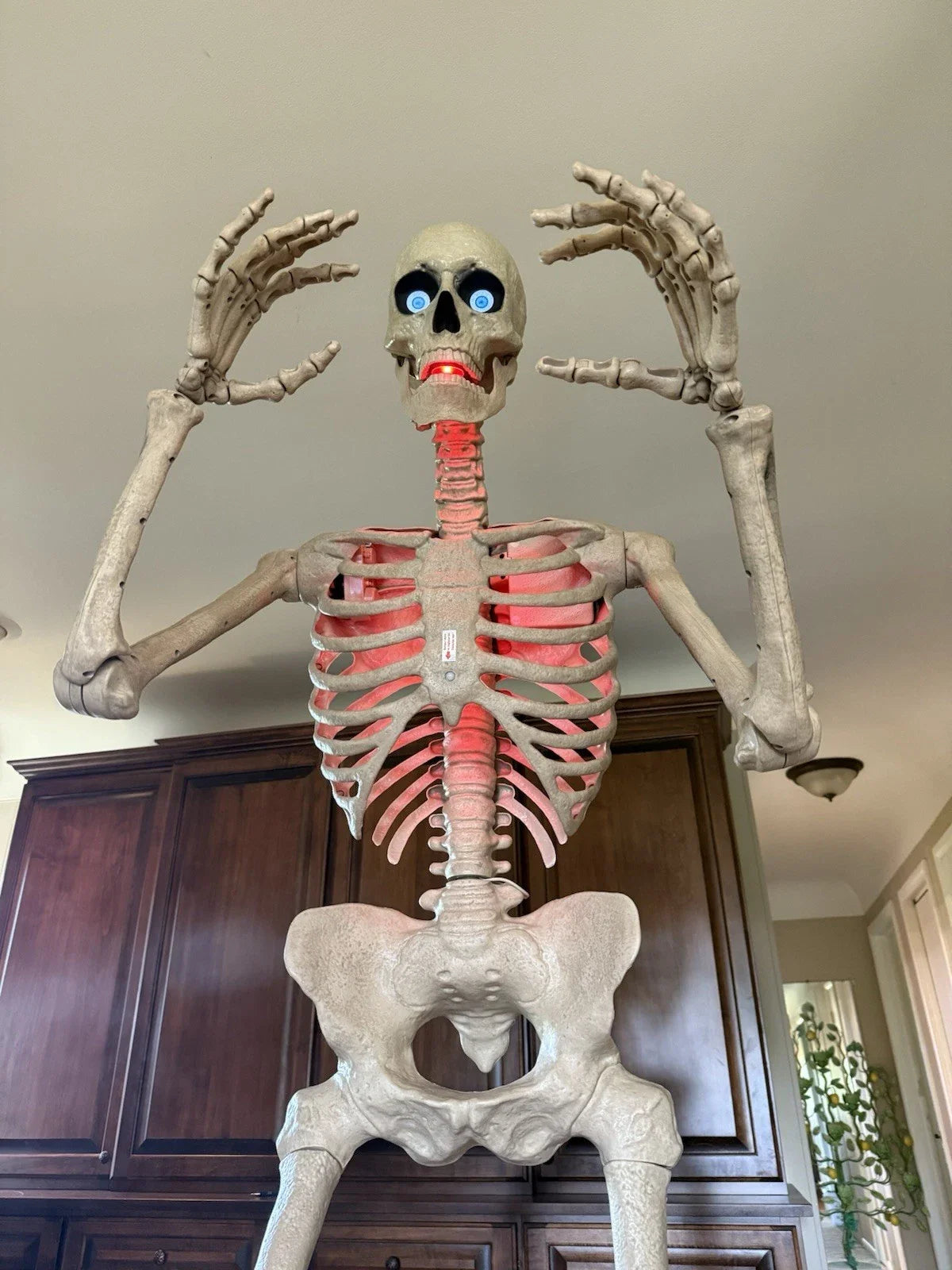 Early Bird Halloween Special 6.5 ft Grave & Bones Animated LED