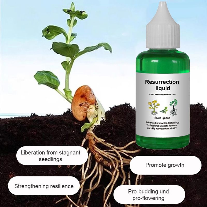 🔥Hot Sale 50% OFF💝👍[Recommended by plant experts]🌿Plant and Flower Activation Liquid Solution