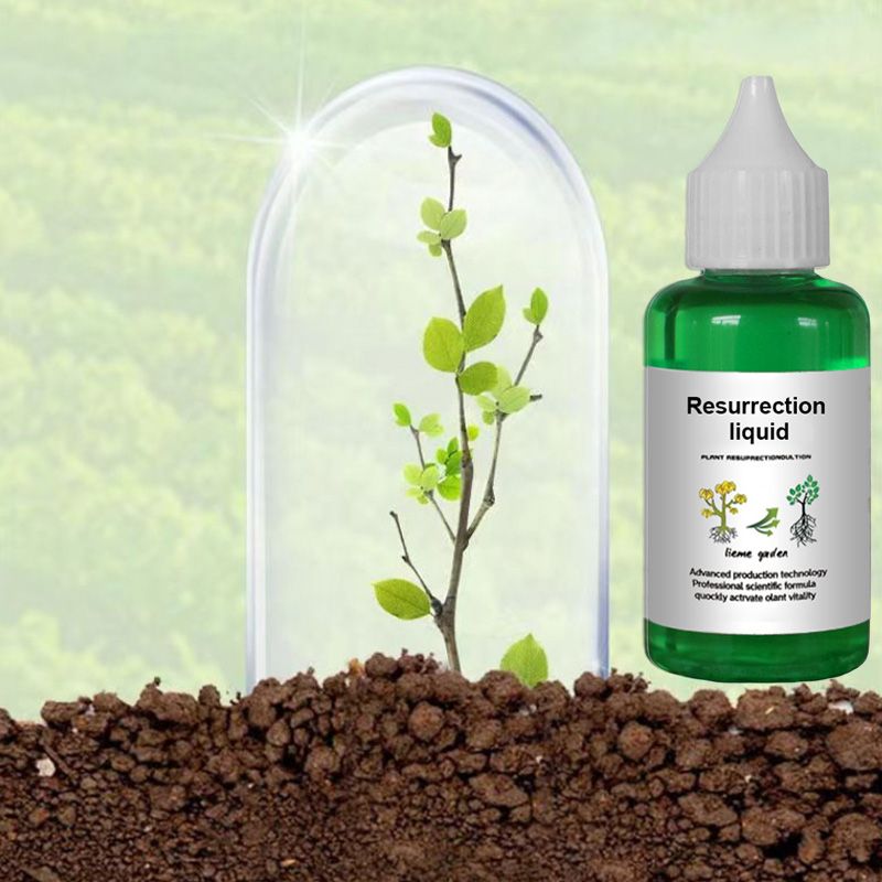 🔥Hot Sale 50% OFF💝👍[Recommended by plant experts]🌿Plant and Flower Activation Liquid Solution