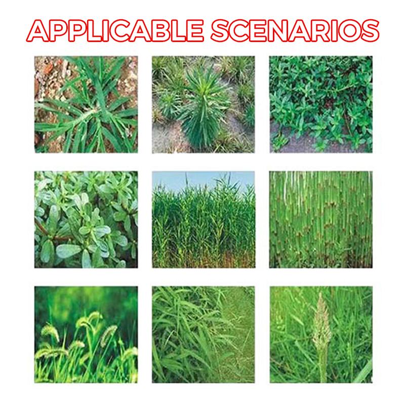 🔥Powerful Concentrated Herbicide🔥