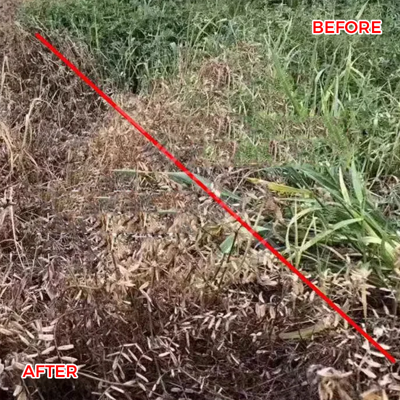 🔥Powerful Concentrated Herbicide🔥